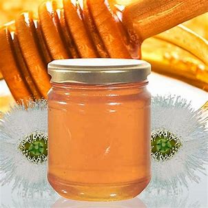 Eucalyptus Honey