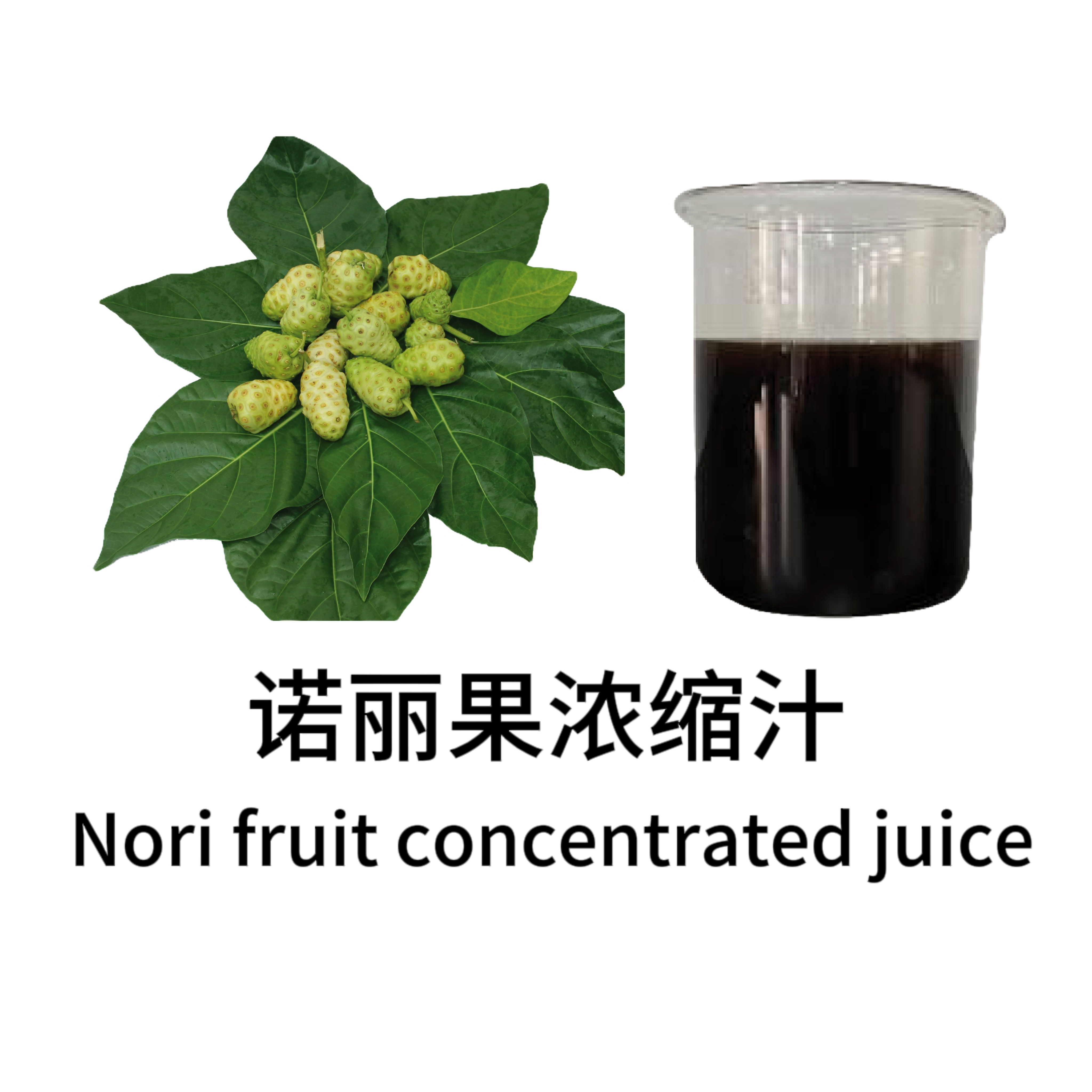 诺丽果汁＆粉