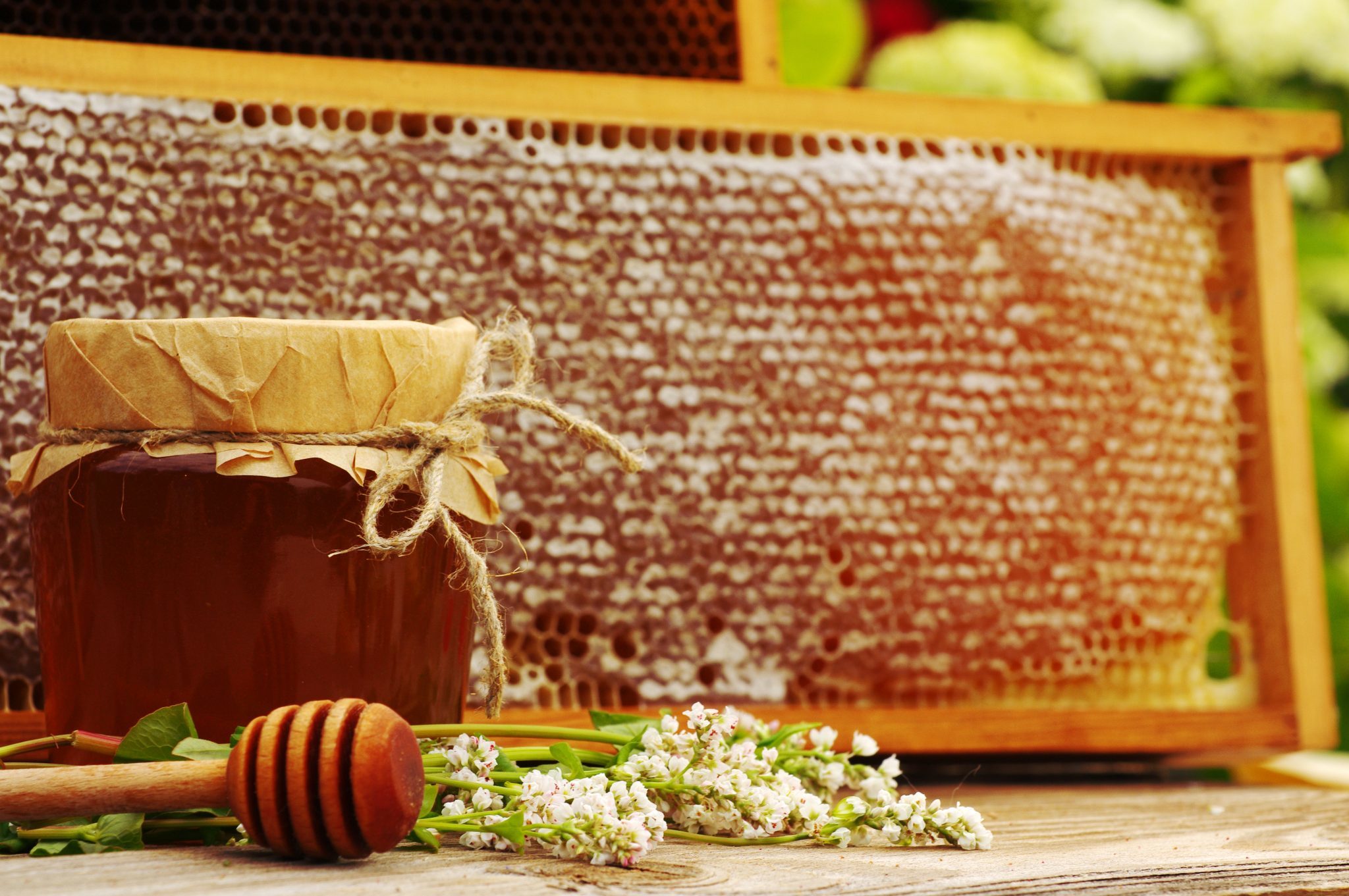 Buchwheat Honey