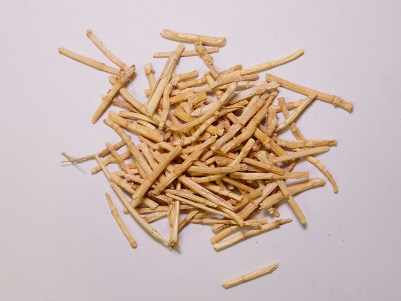 白茅根