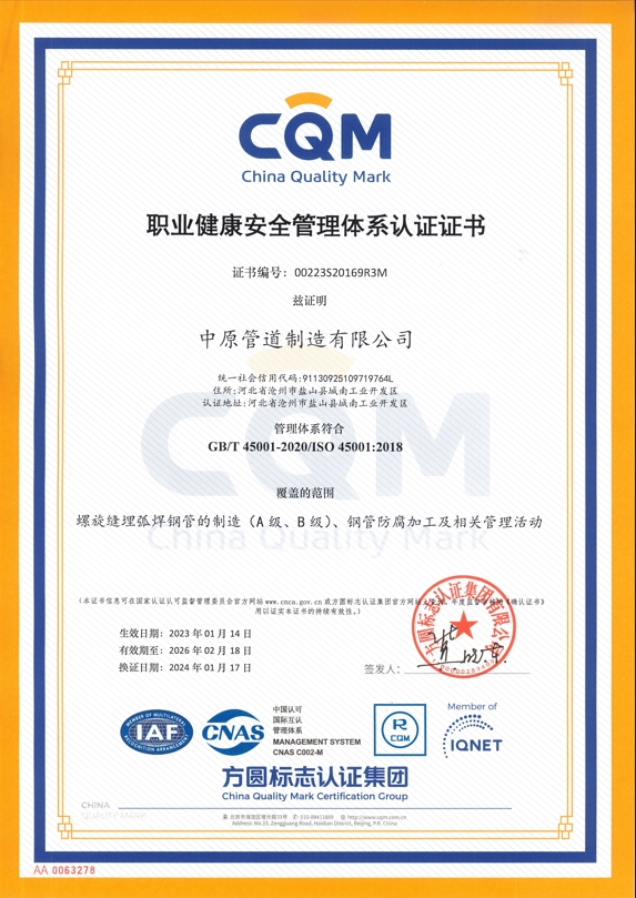 45001职业健康安全管理体系证书中文