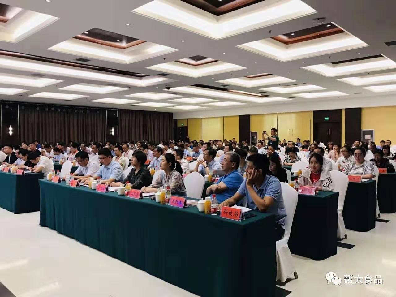 幫太食品助力第十四屆豫商大會(huì )之食品分論壇