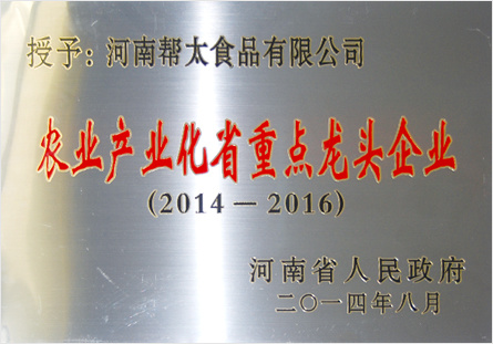 2016中國（鶴壁）快餐食品博覽會(huì )現場(chǎng)展館之“相約幫太”
