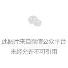 幫助孩子吃粗糧的5大對策