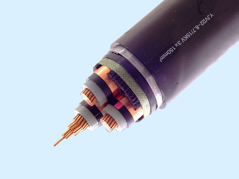 High voltage cable--YJV22