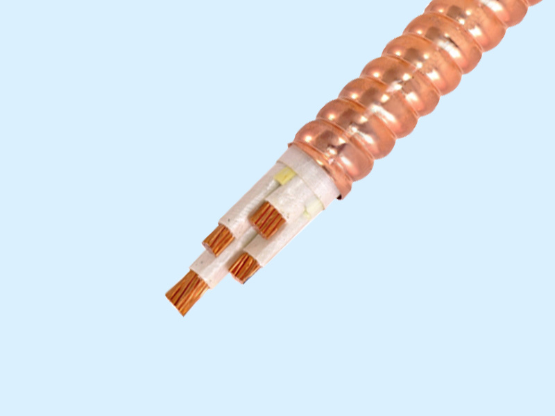 Flexible Metal Sheathed Fireproof Cable--YTTW