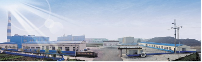 Hongye Biochemical Co., Ltd. Hongye Biochemical Co., Ltd.