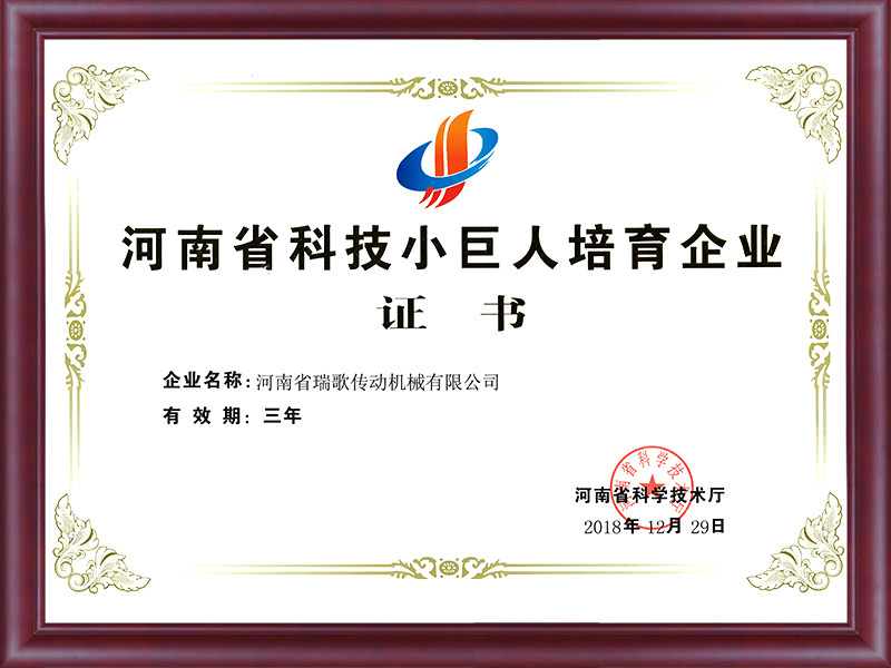 Henan science and technology small giant cultivation enterprise certificate