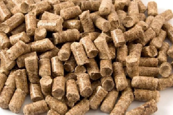 Sugarcane Bagasse Pellet Making