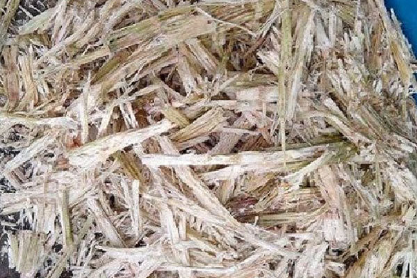 Sugarcane Bagasse Pellet Making