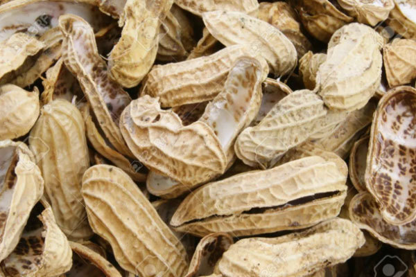 Peanut shells turn waste into treasure