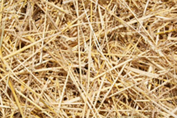 Straw for Pellets Fuel Production