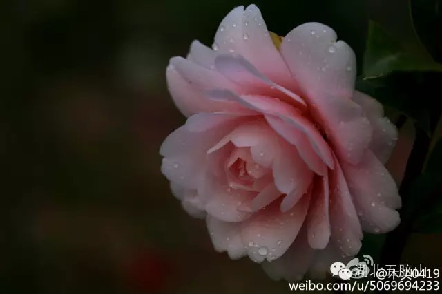 在