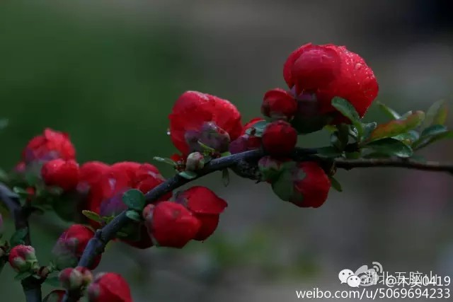 在