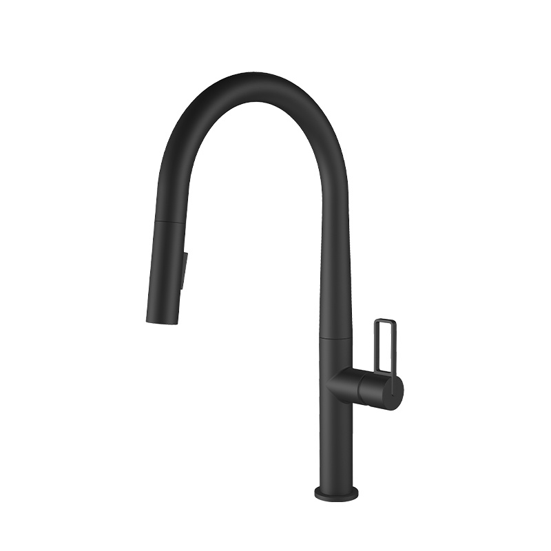 Sink mixers with pull-out hand shower 5824SB