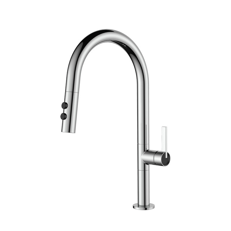 Sink mixers with pull-out hand shower 5828CB