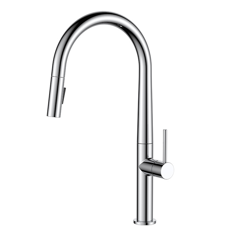 Sink mixers with pull-out hand shower 5821CC