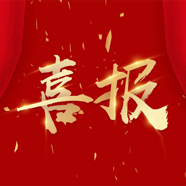 热烈祝贺公司新版网站成功上线