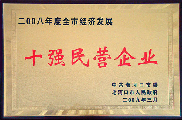 2008年度全市經(jīng)濟(jì)發(fā)展十強民營企業(yè)