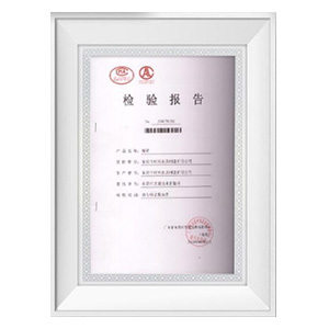 Inspection Reports Inspection Reports
