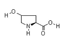 Amino Acid Derivatives