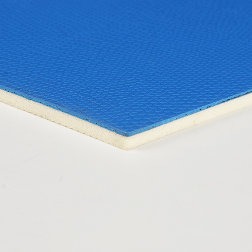 Snake Skin Surface Table Tennis Court Mat