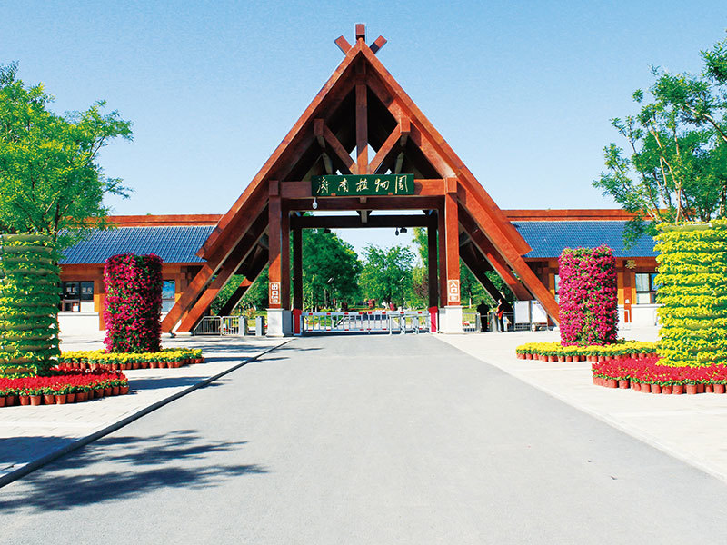 濟(jì)南植物園竹園