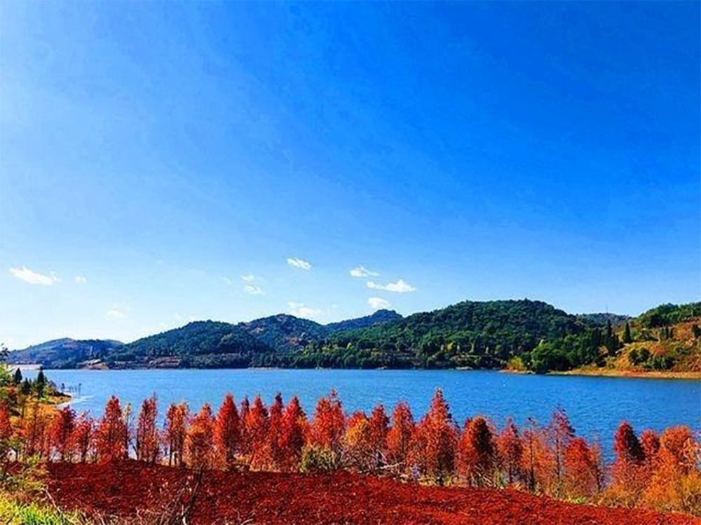 松茂水库改造