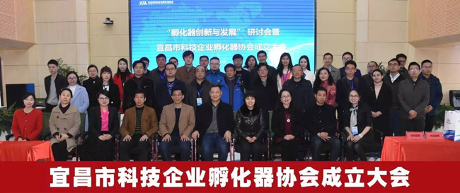 宜昌市科技企业孵化器协会成立 集约型团队加速“双创”提档升级
