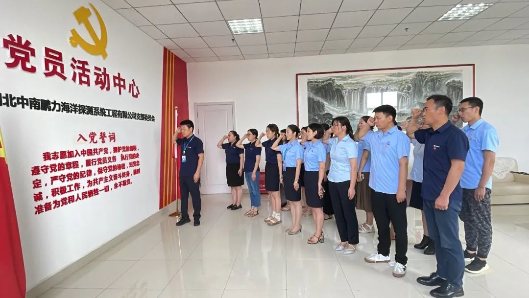学党代会精神，做新时代先锋