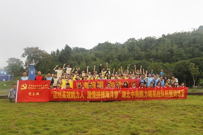 Welcome the 19th National Congress of the Communist Party of China