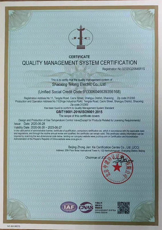 TLONG ISO9001
