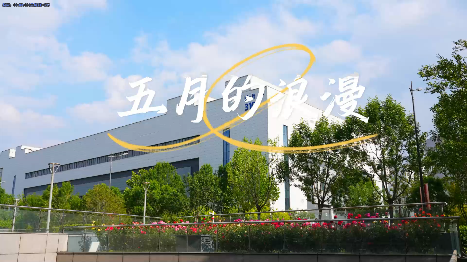 五月的浪漫