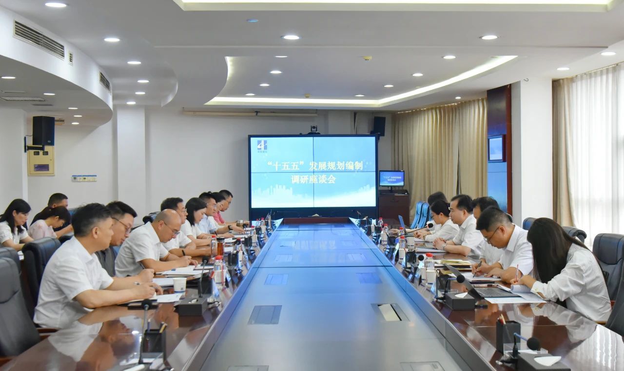 省國資委調研指導集團“十四五”規劃實施總結評估和“十五五”發展規劃編制工作