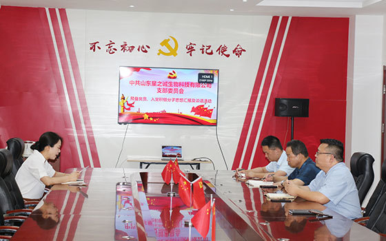 Shandong Xingzhicheng Party Branch organized the ideological report and talk activities of prospective party members and party activists