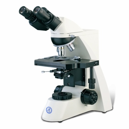 正置生物显微镜B50