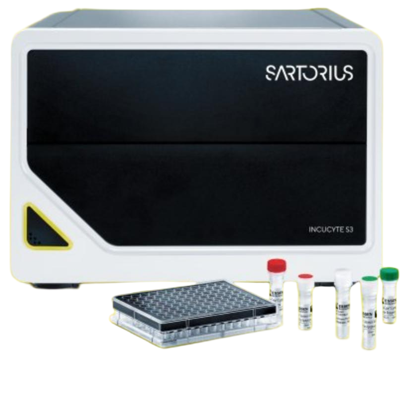 Incucyte? S3 活細胞分析系統