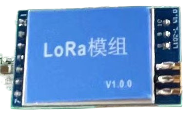 LoRa conversion module