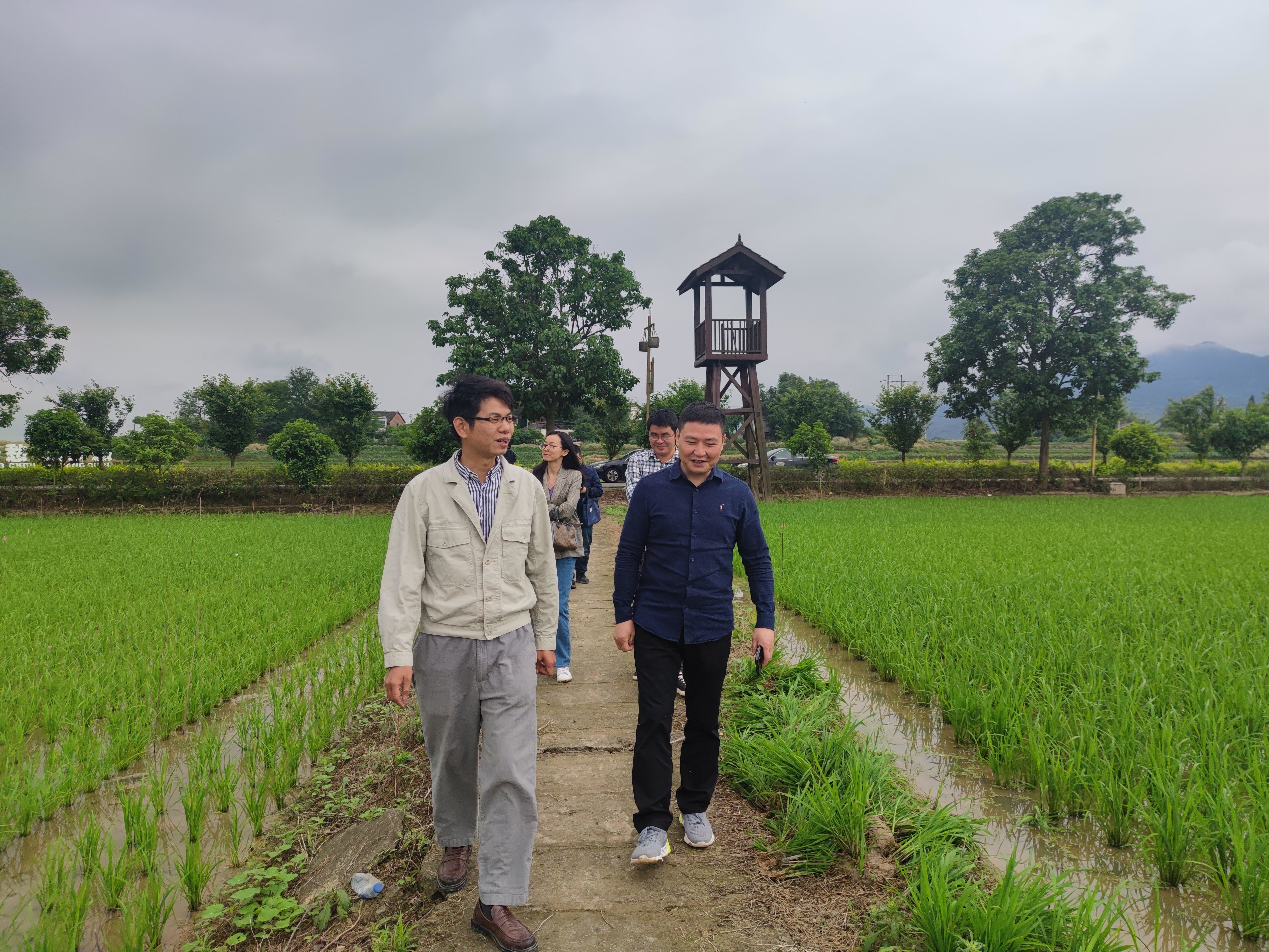 重慶市種子站到水稻所中一種業墊江基地考察調研