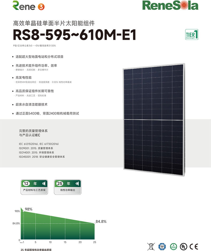 中文RS8-595~610M(210-120单玻组件)