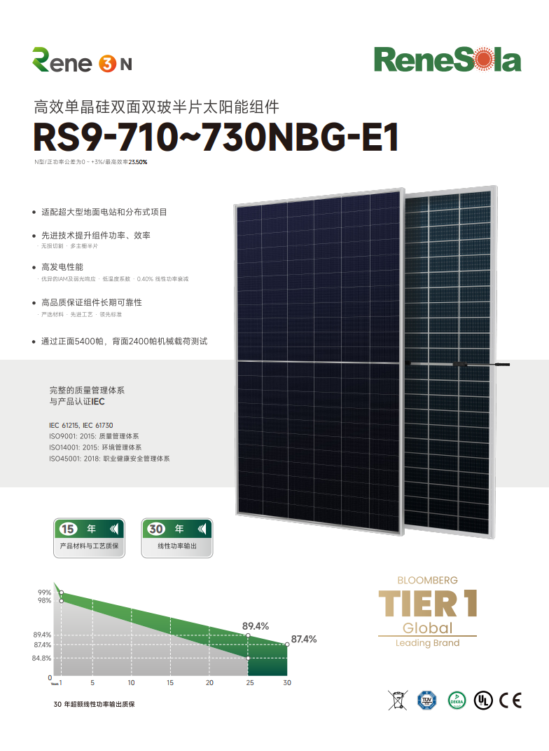 中文RS9-710~730NBG（ N型210-132双面双玻组件）