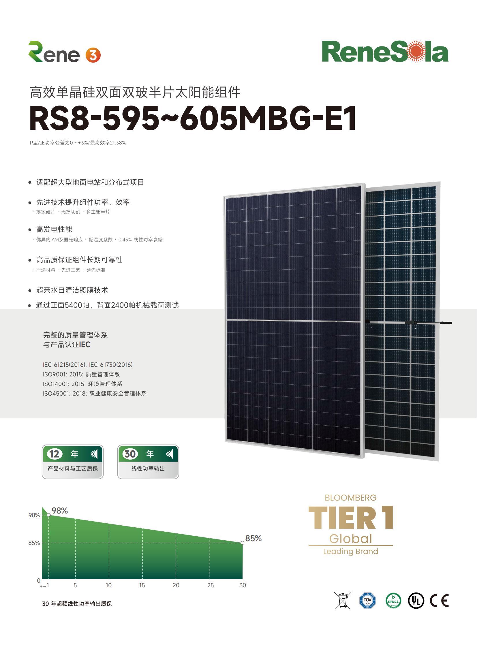 中文RS8-595~605MBG(210-120双玻组件)