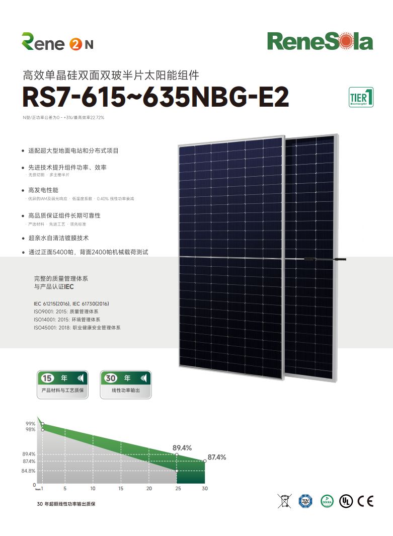 中文RS7-615~635NBG（ N型182-156双面双玻组件）