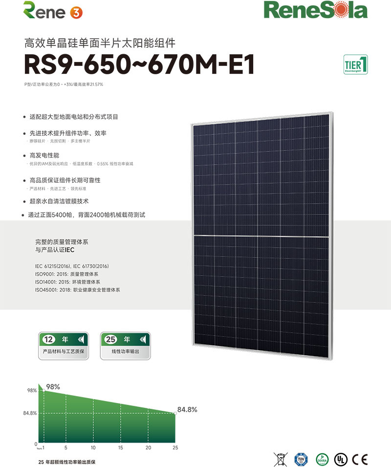 中文RS9-650~670M(210-132单玻组件)