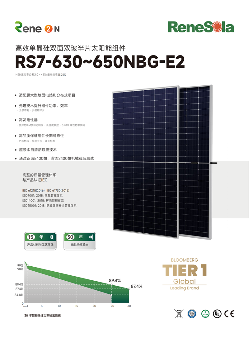 RS7-630~650NBG（ N型182-156双面双玻组件）