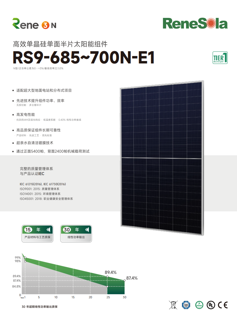 中文RS9-685~700N（ N型210-132单玻组件）