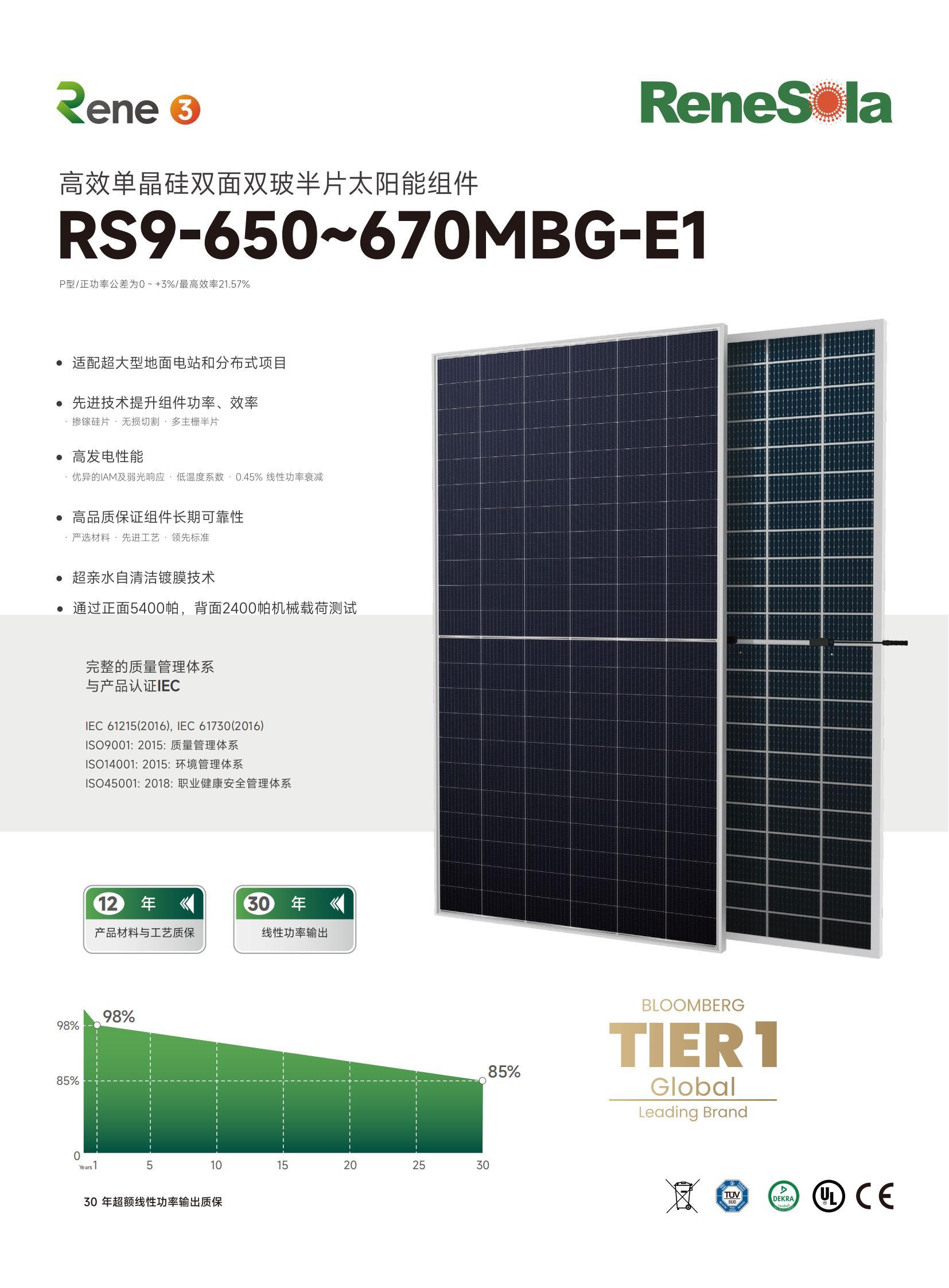 中文RS9-650~670MBG(210-132双玻组件)