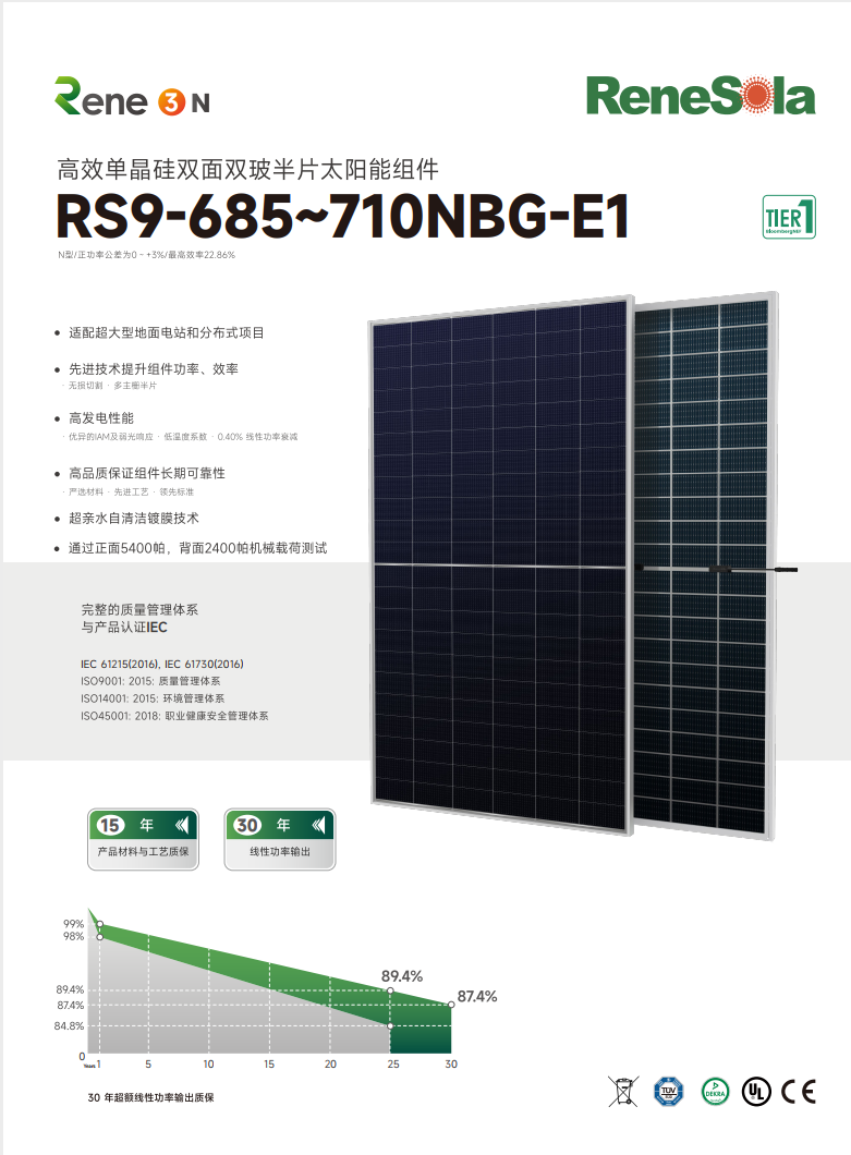 中文RS9-685~710NBG（ N型210-132双玻组件）