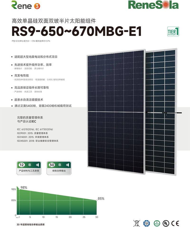 中文RS9-650~670MBG(210-132双玻组件)