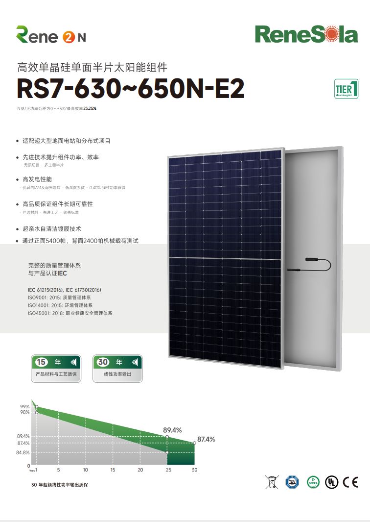 中文RS7-630~650N（N型182-156单面单玻组件）